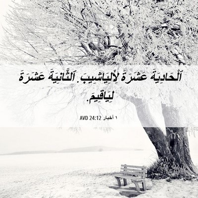 Picture 06 - ١ أخبار 24:12 AVD - ٱلْحَادِيَةَ عَشَرَةَ - Bible Verse Picture