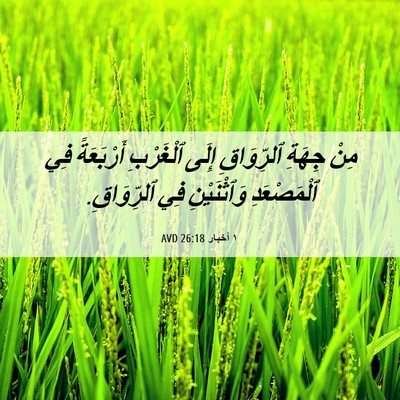 Picture 06 - ١ أخبار 26:18 AVD - مِنْ جِهَةِ ٱلرِّوَاقِ - Bible Verse Picture