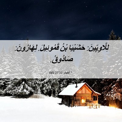 Picture 06 - ١ أخبار 27:17 AVD - لِلَّاوِيِّينَ: حَشَبْيَا - Bible Verse Picture