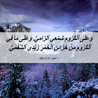 Picture 06 - ١ أخبار 27:27 AVD - وَعَلَى ٱلْكُرُومِ - Bible Verse Picture