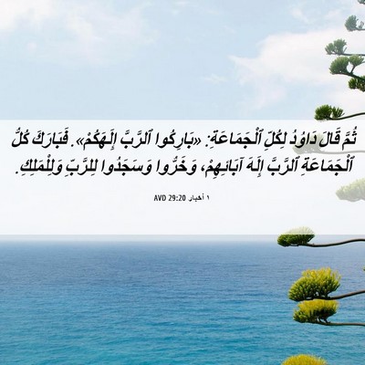 Picture 06 - ١ أخبار 29:20 AVD - ثُمَّ قَالَ دَاوُدُ - Bible Verse Picture