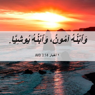 Picture 06 - ١ أخبار 3:14 AVD - وَٱبْنُهُ آمُونُ، - Bible Verse Picture