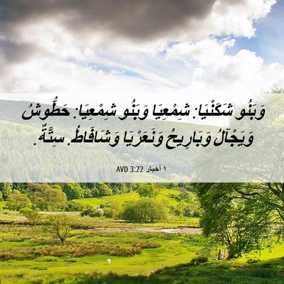 Picture 06 - ١ أخبار 3:22 AVD - وَبَنُو شَكَنْيَا: - Bible Verse Picture