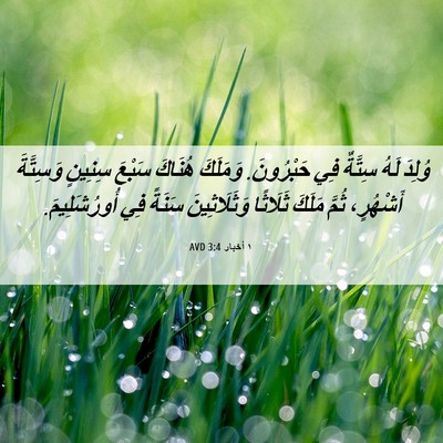 Picture 06 - ١ أخبار 3:4 AVD - وُلِدَ لَهُ سِتَّةٌ فِي - Bible Verse Picture