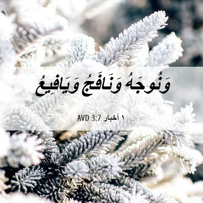 Picture 06 - ١ أخبار 3:7 AVD - وَنُوجَهُ وَنَافَجُ - Bible Verse Picture
