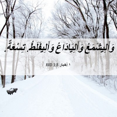 Picture 06 - ١ أخبار 3:8 AVD - وَأَلِيشَمَعُ - Bible Verse Picture