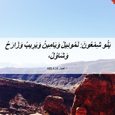 Picture 06 - ١ أخبار 4:24 AVD - بَنُو شِمْعُونَ: - Bible Verse Picture