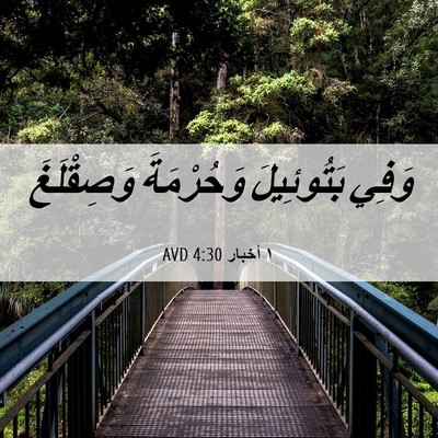 Picture 06 - ١ أخبار 4:30 AVD - وَفِي بَتُوئِيلَ - Bible Verse Picture