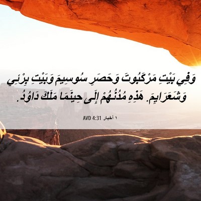 Picture 06 - ١ أخبار 4:31 AVD - وَفِي بَيْتِ مَرْكَبُوتَ - Bible Verse Picture