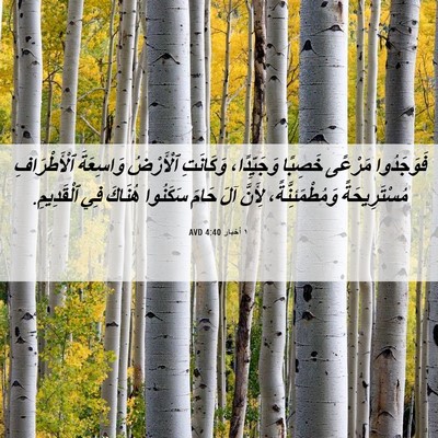 Picture 06 - ١ أخبار 4:40 AVD - فَوَجَدُوا مَرْعًى - Bible Verse Picture