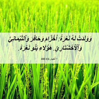 Picture 06 - ١ أخبار 4:6 AVD - وَوَلَدَتْ لَهُ نَعْرَةُ: - Bible Verse Picture