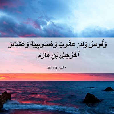 Picture 06 - ١ أخبار 4:8 AVD - وَقُوصُ وَلَدَ: عَانُوبَ - Bible Verse Picture