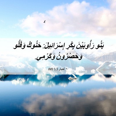 Picture 06 - ١ أخبار 5:3 AVD - بَنُو رَأُوبَيْنَ بِكْرِ - Bible Verse Picture