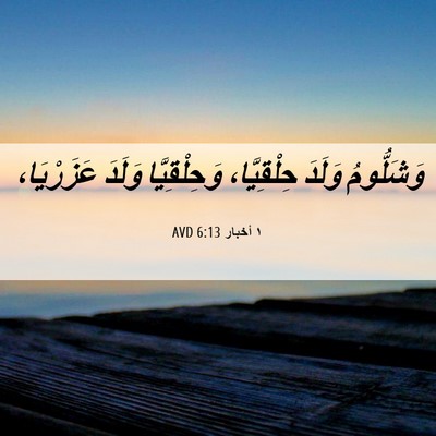 Picture 06 - ١ أخبار 6:13 AVD - وَشَلُّومُ وَلَدَ - Bible Verse Picture