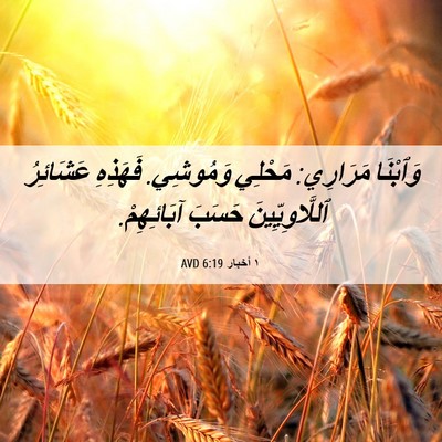 Picture 06 - ١ أخبار 6:19 AVD - وَٱبْنَا مَرَارِي: مَحْلِي - Bible Verse Picture