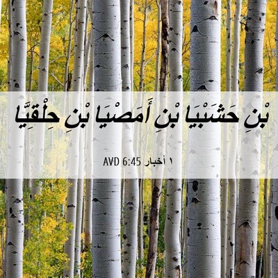 Picture 06 - ١ أخبار 6:45 AVD - بْنِ حَشَبْيَا بْنِ - Bible Verse Picture