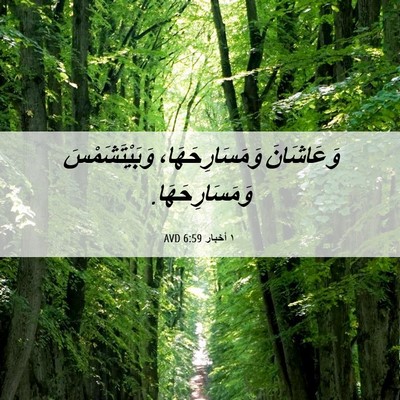 Picture 06 - ١ أخبار 6:59 AVD - وَعَاشَانَ - Bible Verse Picture