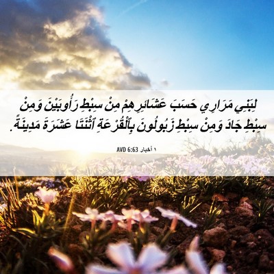 Picture 06 - ١ أخبار 6:63 AVD - لِبَنِي مَرَارِي حَسَبَ - Bible Verse Picture