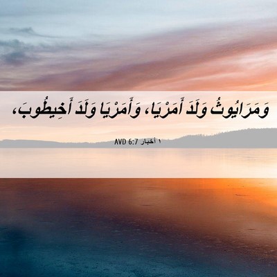 Picture 06 - ١ أخبار 6:7 AVD - وَمَرَايُوثُ وَلَدَ - Bible Verse Picture