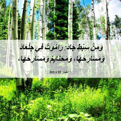 Picture 06 - ١ أخبار 6:80 AVD - وَمِنْ سِبْطِ جَادَ: - Bible Verse Picture