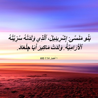 Picture 06 - ١ أخبار 7:14 AVD - بَنُو مَنَسَّى: - Bible Verse Picture