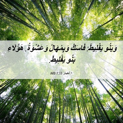 Picture 06 - ١ أخبار 7:33 AVD - وَبَنُو يَفْلِيطَ: فَاسَكُ - Bible Verse Picture