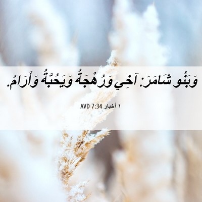 Picture 06 - ١ أخبار 7:34 AVD - وَبَنُو شَامَرَ: آخِي - Bible Verse Picture