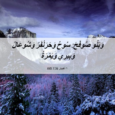 Picture 06 - ١ أخبار 7:36 AVD - وَبَنُو صُوفَحَ: سُوحُ - Bible Verse Picture