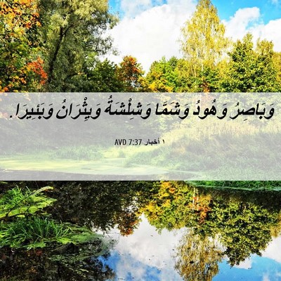 Picture 06 - ١ أخبار 7:37 AVD - وَبَاصِرُ وَهُودُ - Bible Verse Picture