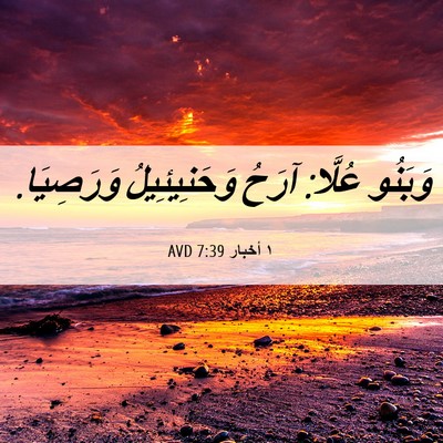 Picture 06 - ١ أخبار 7:39 AVD - وَبَنُو عُلَّا: آرَحُ - Bible Verse Picture