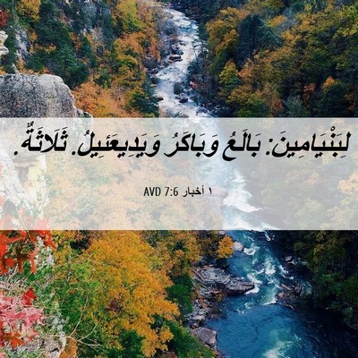 Picture 06 - ١ أخبار 7:6 AVD - لِبَنْيَامِينَ: بَالَعُ - Bible Verse Picture