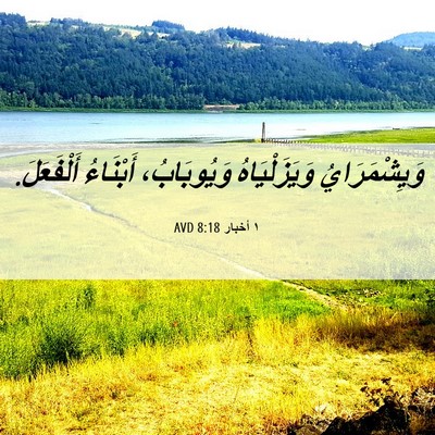 Picture 06 - ١ أخبار 8:18 AVD - وَيِشْمَرَايُ - Bible Verse Picture