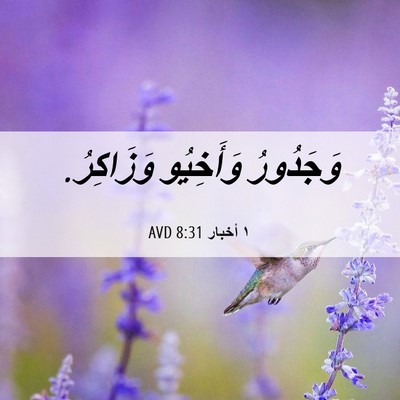 Picture 06 - ١ أخبار 8:31 AVD - وَجَدُورُ وَأَخِيُو - Bible Verse Picture