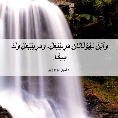 Picture 06 - ١ أخبار 8:34 AVD - وَٱبْنُ يَهُوُنَاثَانَ - Bible Verse Picture