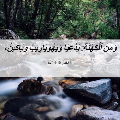Picture 06 - ١ أخبار 9:10 AVD - وَمِنَ ٱلْكَهَنَةِ: - Bible Verse Picture
