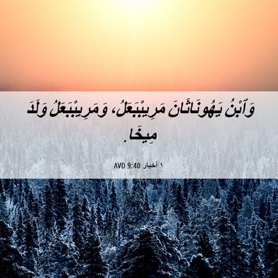 Picture 06 - ١ أخبار 9:40 AVD - وَٱبْنُ يَهُونَاثَانَ - Bible Verse Picture