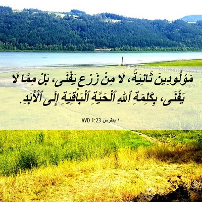 Picture 06 - ١ بطرس 1:23 AVD - مَوْلُودِينَ ثَانِيَةً، - Bible Verse Picture