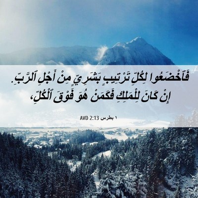 Picture 06 - ١ بطرس 2:13 AVD - فَٱخْضَعُوا لِكُلِّ - Bible Verse Picture