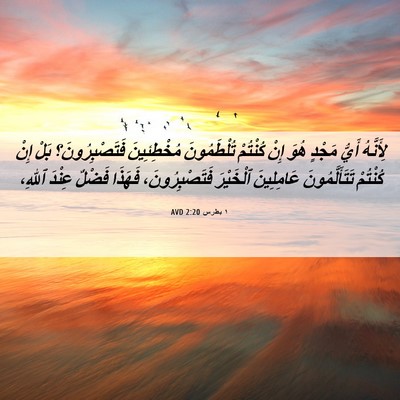 Picture 06 - ١ بطرس 2:20 AVD - لِأَنَّهُ أَيُّ مَجْدٍ - Bible Verse Picture