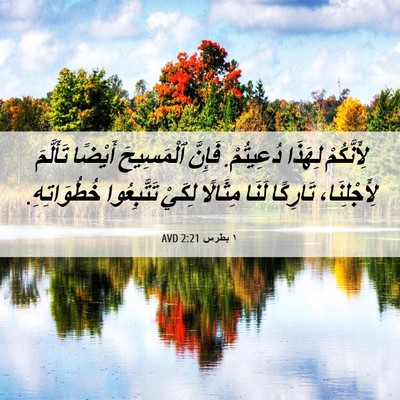 Picture 06 - ١ بطرس 2:21 AVD - لِأَنَّكُمْ لِهَذَا - Bible Verse Picture