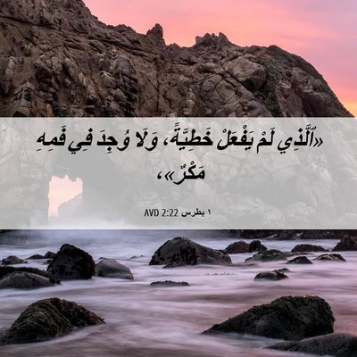Picture 06 - ١ بطرس 2:22 AVD - «ٱلَّذِي لَمْ يَفْعَلْ - Bible Verse Picture