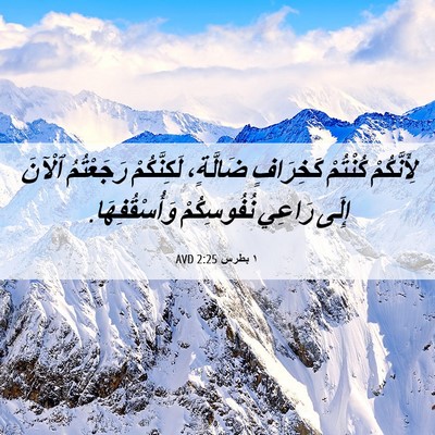 Picture 06 - ١ بطرس 2:25 AVD - لِأَنَّكُمْ كُنْتُمْ - Bible Verse Picture