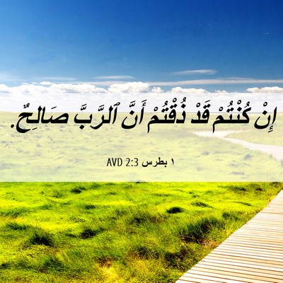 Picture 06 - ١ بطرس 2:3 AVD - إِنْ كُنْتُمْ قَدْ - Bible Verse Picture