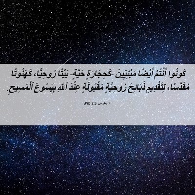 Picture 06 - ١ بطرس 2:5 AVD - كُونُوا أَنْتُمْ أَيْضًا - Bible Verse Picture