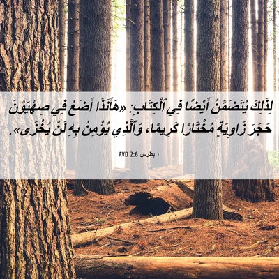 Picture 06 - ١ بطرس 2:6 AVD - لِذَلِكَ يُتَضَمَّنُ - Bible Verse Picture