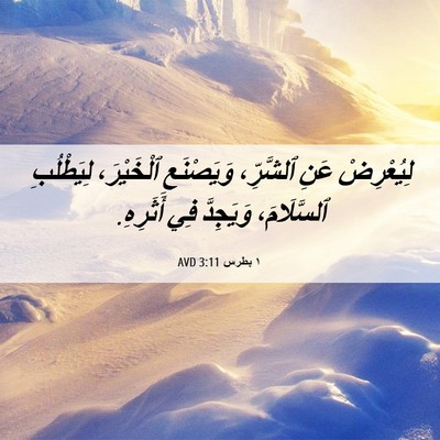 Picture 06 - ١ بطرس 3:11 AVD - لِيُعْرِضْ عَنِ ٱلشَّرِّ، - Bible Verse Picture