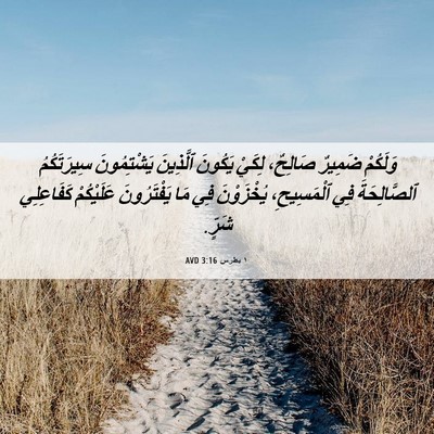 Picture 06 - ١ بطرس 3:16 AVD - وَلَكُمْ ضَمِيرٌ صَالِحٌ، - Bible Verse Picture