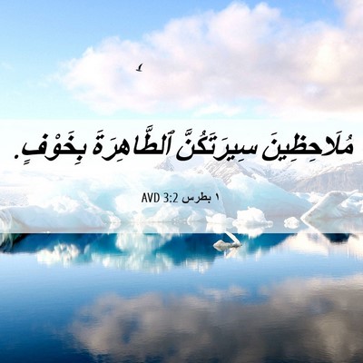 Picture 06 - ١ بطرس 3:2 AVD - مُلَاحِظِينَ سِيرَتَكُنَّ - Bible Verse Picture