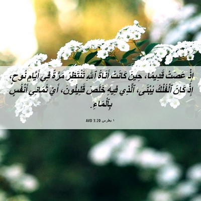 Picture 06 - ١ بطرس 3:20 AVD - إِذْ عَصَتْ قَدِيمًا، - Bible Verse Picture