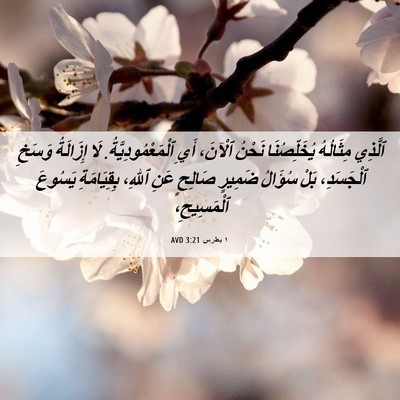 Picture 06 - ١ بطرس 3:21 AVD - ٱلَّذِي مِثَالُهُ - Bible Verse Picture